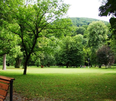 Yemyeşil Parklar