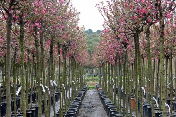 Üretim Tesislerimiz